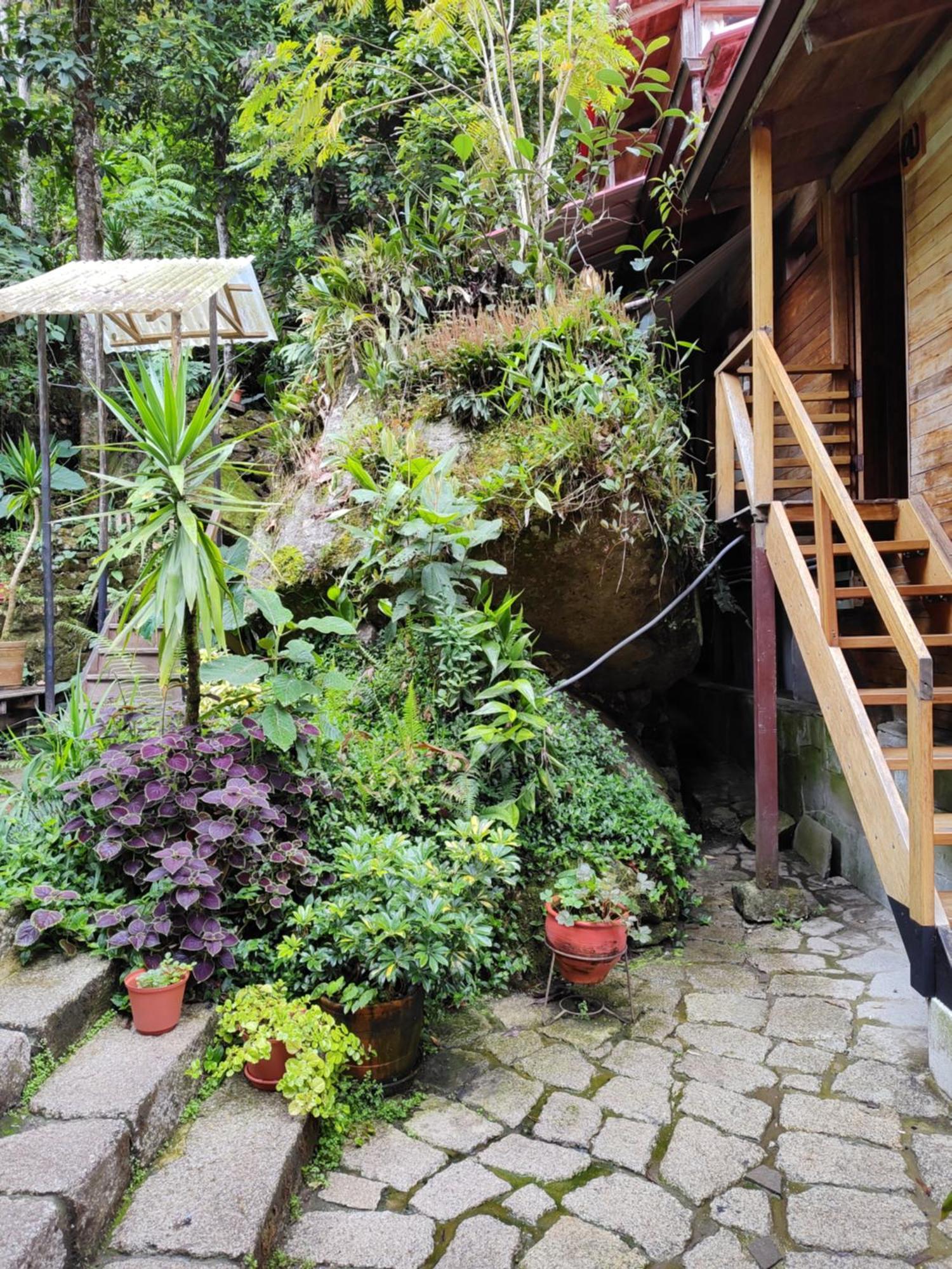 Tree House Lodge Machu Picchu Exterior foto